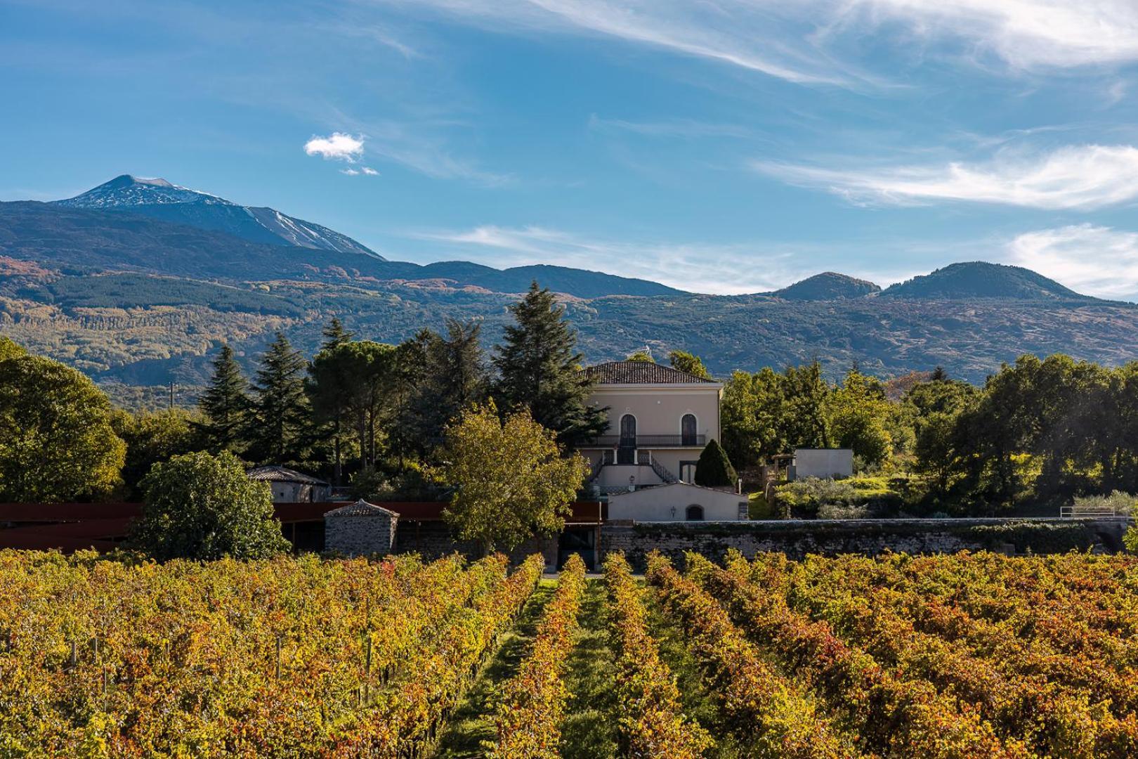Campore Etna Wines And Resort رانداتسو المظهر الخارجي الصورة